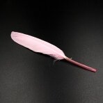 10-15cm rožinės sp. plunksnos, 10vnt.
