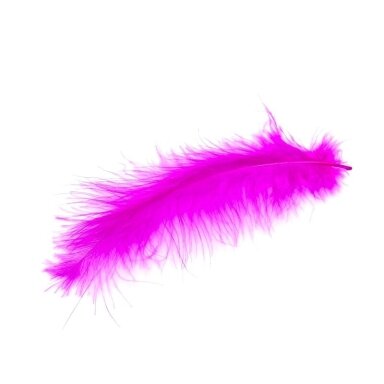 10-15cm ciklameno sp. plunksnos, 6vnt.