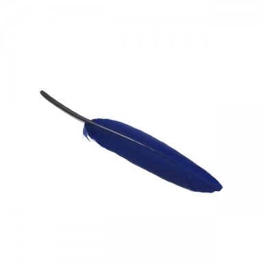10-15cm indigo sp. plunksnos, 10vnt.