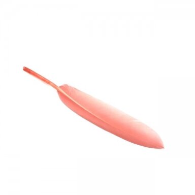 10-15cm rausvos sp. plunksnos, 10vnt.