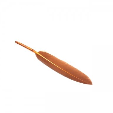 10-15cm oranžinės sp. plunksnos, 10vnt.