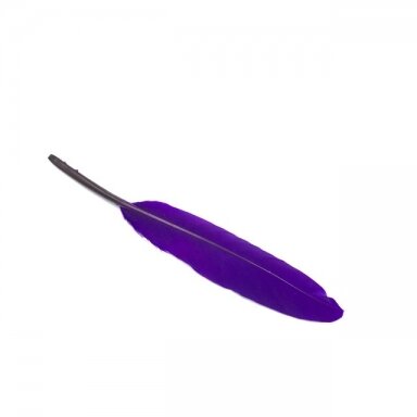 10-15cm violetinės sp. plunksnos, 10vnt.