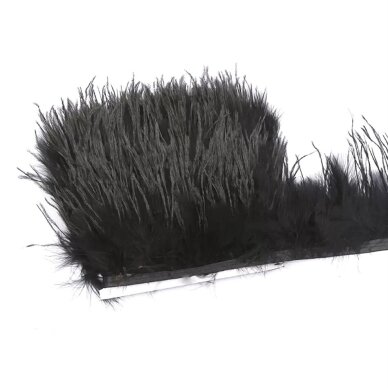 ±10cm juodos sp. plunksnų juosta, 10cm ±10cm juodos sp. plunksnų juosta, 10cm