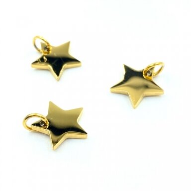12x11mm 14k aukso sp. nerūdijančio plieno pakabukas žvaigždė, 1vnt. 12x11mm 14k aukso sp. nerūdijančio plieno pakabukas žvaigždė, 1vnt.