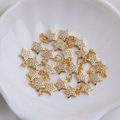 12x10mm 14k aukso sp. nerūdijančio plieno pakabukas žvaigždė, 1vnt. 12x10mm 14k aukso sp. nerūdijančio plieno pakabukas žvaigždė, 1vnt.