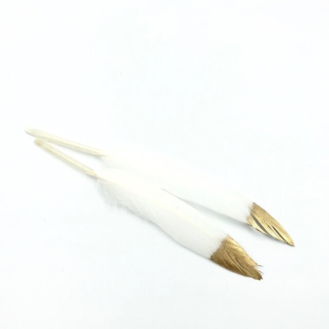 12-15cm baltos sp. plunksnos, 2vnt.