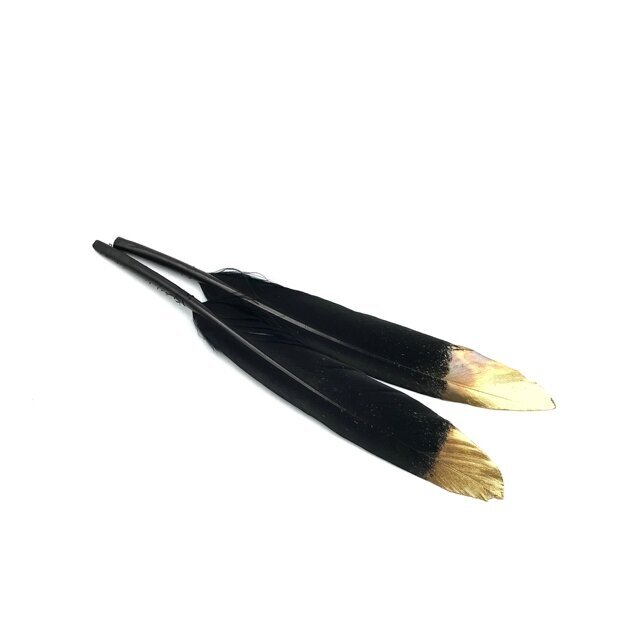 12-15cm juodos sp. plunksnos, 2vnt.