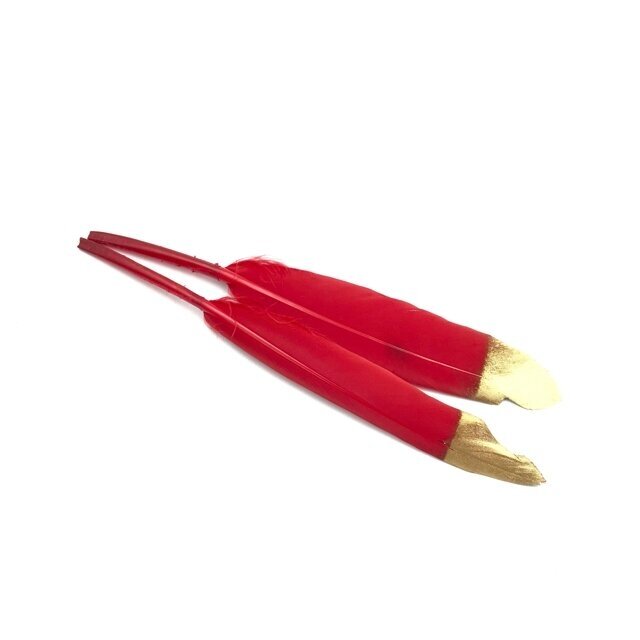 12-15cm raudonos sp. plunksnos, 2vnt.