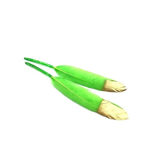 12-15cm salotinės sp. plunksnos, 2vnt.