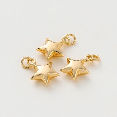 14x11mm 14k aukso sp. nerūdijančio plieno pakabukas žvaigždutė, 1vnt. 14x11mm 14k aukso sp. nerūdijančio plieno pakabukas žvaigždutė, 1vnt.