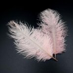 15-20cm pelenų rožinės sp. stručio plunksnos, 2vnt.