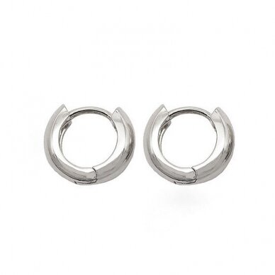16mm platinos sp. nerūdijančio plieno auskarų įvėrimai, 2vnt. 1