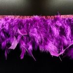 ±17cm violetinės sp. plunksnų juosta, 50cm