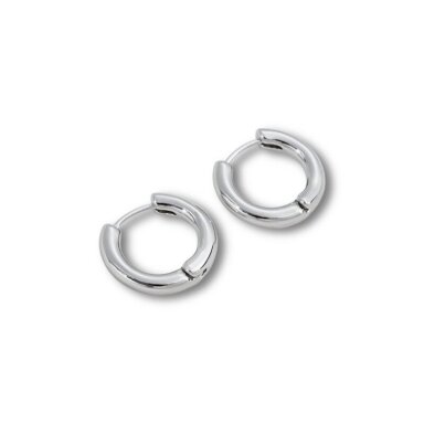 17mm platinos sp. nerūdijančio plieno auskarų įvėrimai, 2vnt. 17mm platinos sp. nerūdijančio plieno auskarų įvėrimai, 2vnt.