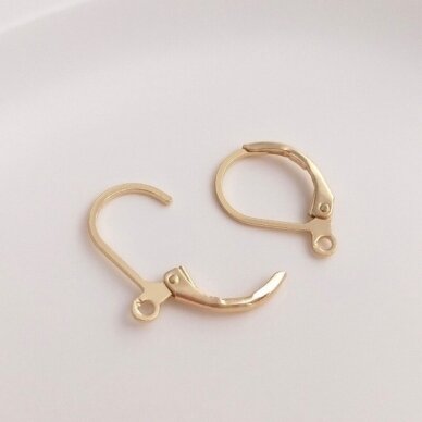17mm 14k aukso sp. nerūdijančio plieno auskarų įvėrimai, 2vnt. 17mm 14k aukso sp. nerūdijančio plieno auskarų įvėrimai, 2vnt.