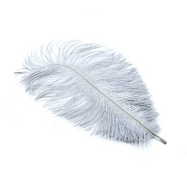 18-20cm pilkos sp. stručio plunksnos, 1vnt.