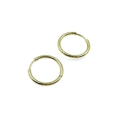 18mm 14k aukso sp. nerūdijančio plieno auskarų įvėrimai, 2vnt. 18mm 14k aukso sp. nerūdijančio plieno auskarų įvėrimai, 2vnt.