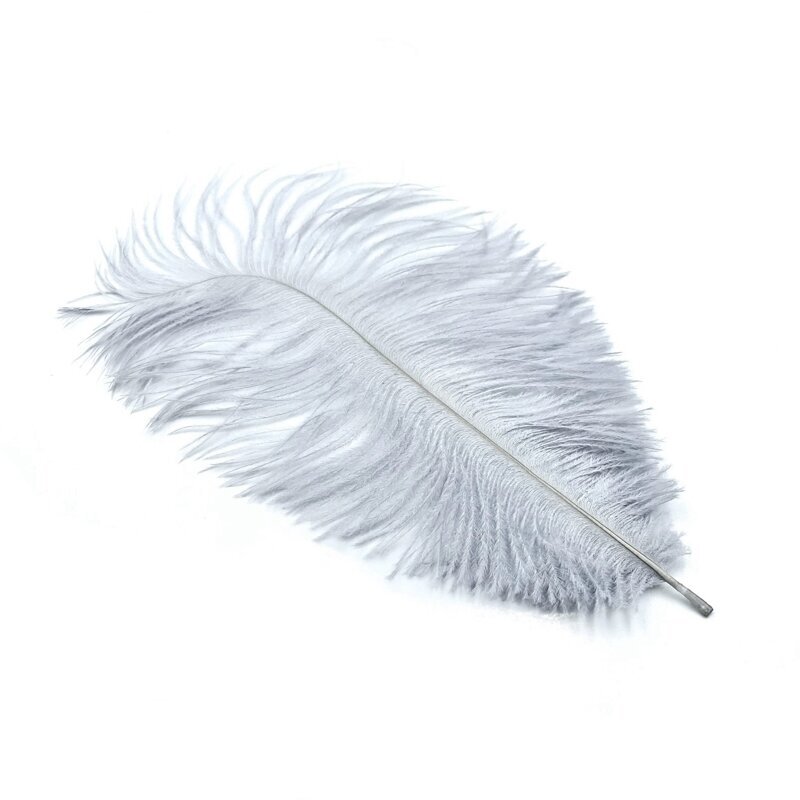 18-20cm pilkos sp. stručio plunksnos, 1vnt.