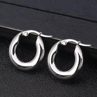 20x5mm platinos sp. nerūdijančio plieno auskarų įvėrimai, 2vnt. 20x5mm platinos sp. nerūdijančio plieno auskarų įvėrimai, 2vnt.