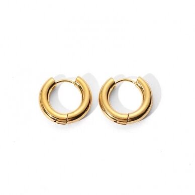 22mm 18k aukso sp. nerūdijančio plieno auskarų įvėrimai, 2vnt, 22mm 18k aukso sp. nerūdijančio plieno auskarų įvėrimai, 2vnt,
