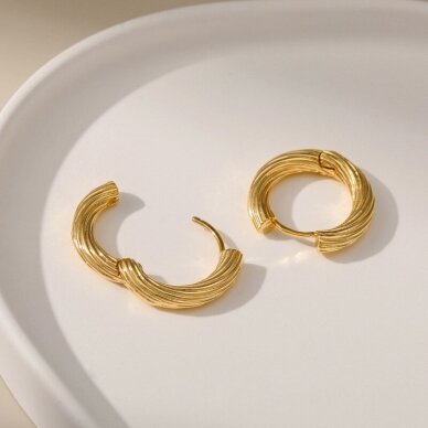 22x4mm 18k aukso sp. nerūdijančio plieno auskarų įvėrimai, 2vnt. 22x4mm 18k aukso sp. nerūdijančio plieno auskarų įvėrimai, 2vnt.