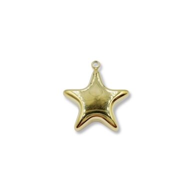 23x21mm 14k aukso sp. nerūdijančio plieno pakabukas žvaigždė, 1vnt. 23x21mm 14k aukso sp. nerūdijančio plieno pakabukas žvaigždė, 1vnt.