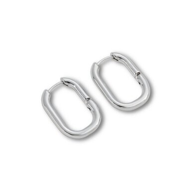 24x17mm platinos sp. nerūdijančio plieno auskarų įvėrimai, 2vnt. 24x17mm platinos sp. nerūdijančio plieno auskarų įvėrimai, 2vnt.