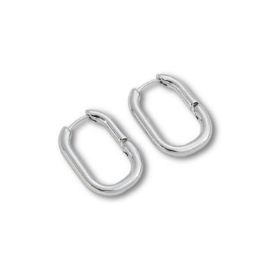 24x17mm platinos sp. nerūdijančio plieno auskarų įvėrimai, 2vnt. 24x17mm platinos sp. nerūdijančio plieno auskarų įvėrimai, 2vnt.
