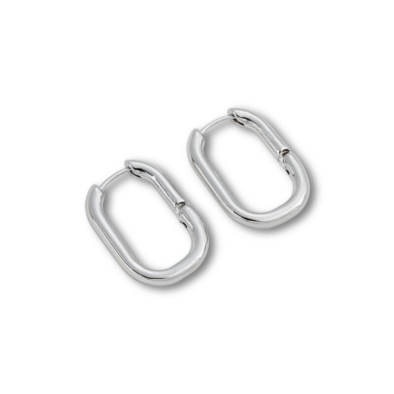 24x17mm platinos sp. nerūdijančio plieno auskarų įvėrimai, 2vnt.