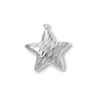 25x24mm platinos sp. nerūdijančio plieno pakabukas žvaigždė, 1vnt.