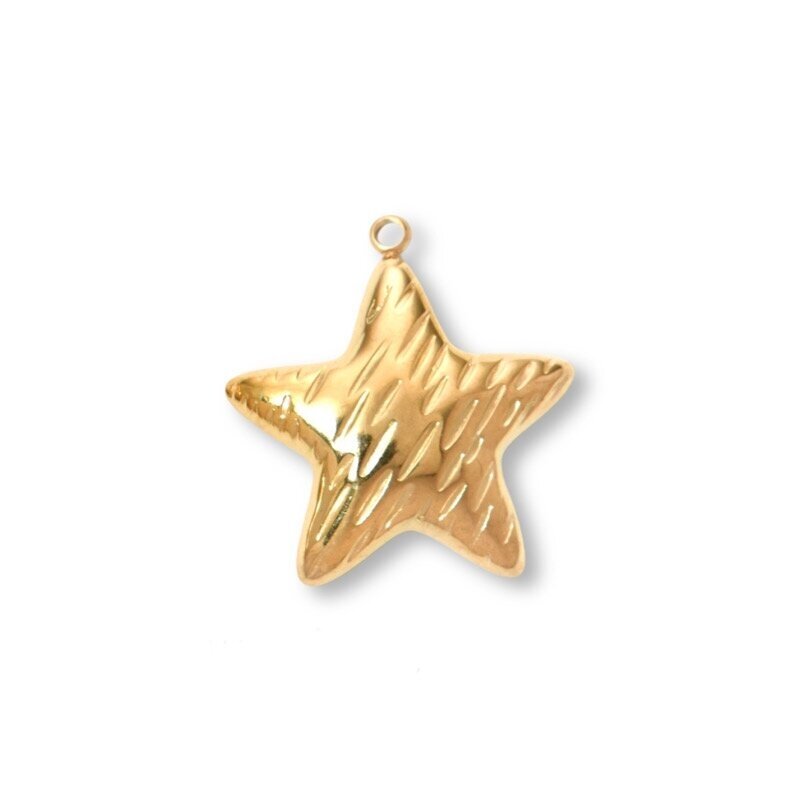 25x24mm 14k aukso sp. nerūdijančio plieno pakabukas žvaigždė, 1vnt. 25x24mm 14k aukso sp. nerūdijančio plieno pakabukas žvaigždė, 1vnt.