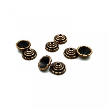8x3mm vario sp. kepurėlės, 46vnt.