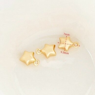 9x7mm 14k aukso sp. nerūdijančio plieno pakabukas žvaigždė, 1vnt. 9x7mm 14k aukso sp. nerūdijančio plieno pakabukas žvaigždė, 1vnt.
